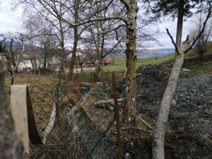 potok Pungart Gornja Košana (1)